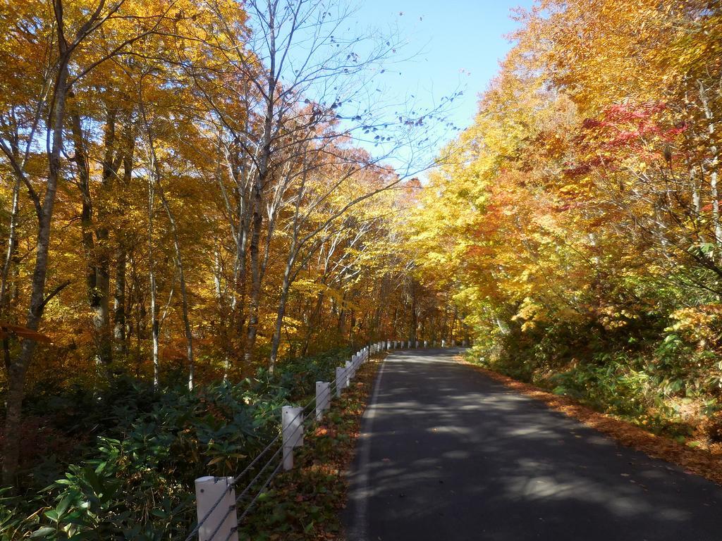 Shiga Park Hotel Yamanouchi  Zewnętrze zdjęcie