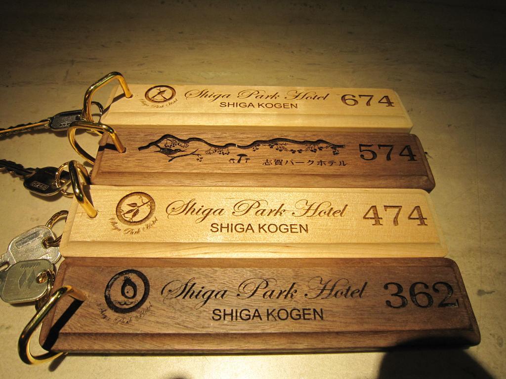 Shiga Park Hotel Yamanouchi  Zewnętrze zdjęcie