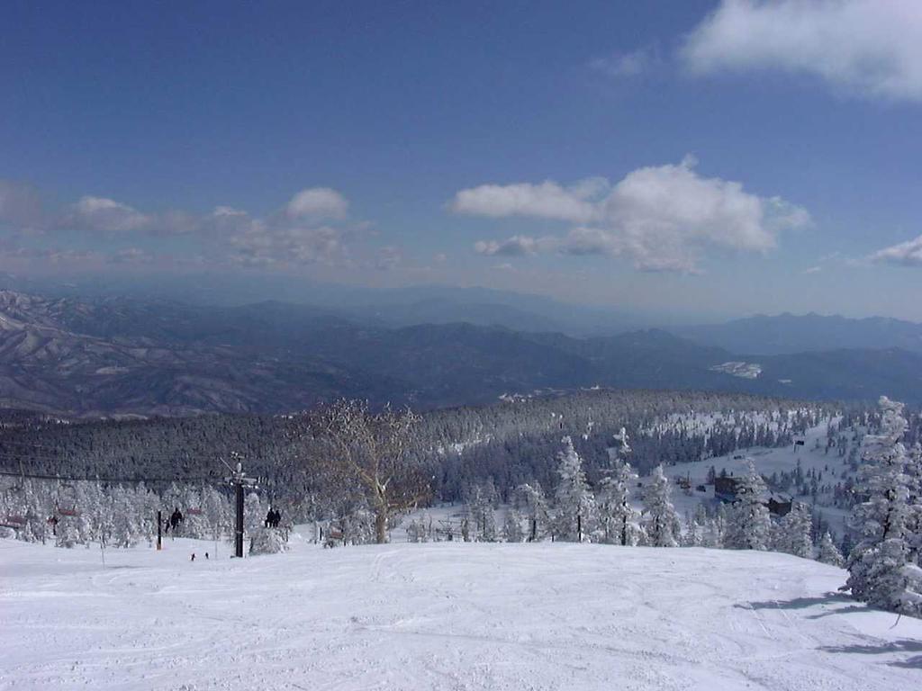 Shiga Park Hotel Yamanouchi  Zewnętrze zdjęcie