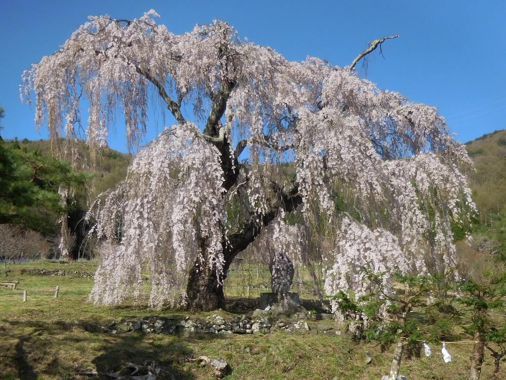 Shiga Park Hotel Yamanouchi  Zewnętrze zdjęcie